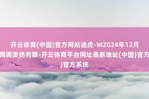 开云体育(中国)官方网站途虎-W2024年12月售后阛阓发扬亮眼-开云体育平台网址最新地址(中国)官方系统