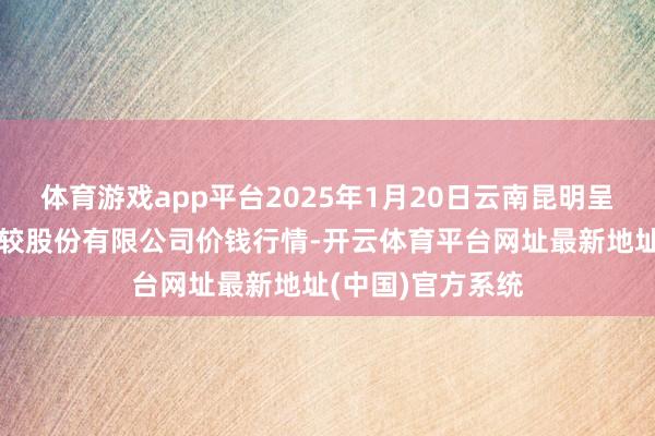 体育游戏app平台2025年1月20日云南昆明呈贡龙城农居品计较股份有限公司价钱行情-开云体育平台网址最新地址(中国)官方系统