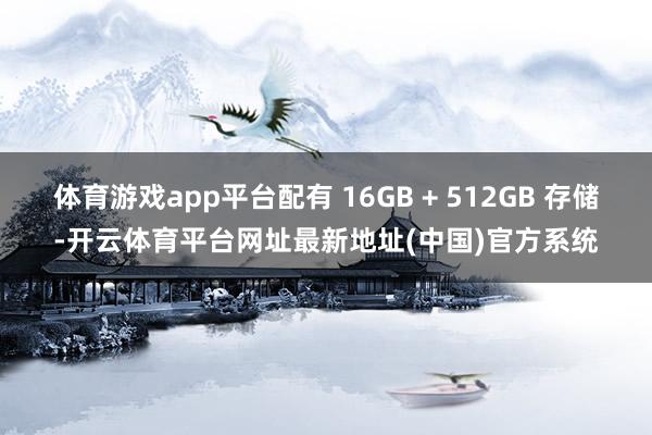 体育游戏app平台配有 16GB + 512GB 存储-开云体育平台网址最新地址(中国)官方系统