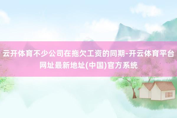 云开体育不少公司在拖欠工资的同期-开云体育平台网址最新地址(中国)官方系统